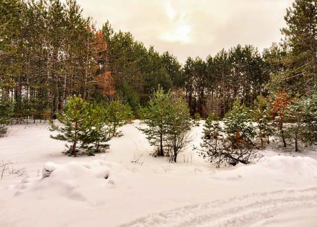 Property at 0001 Ringneck Ln, Buckley, MI 49620