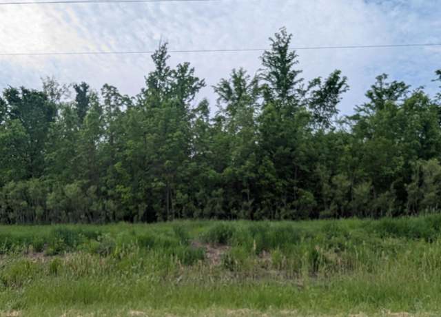 Property at N/A Twining Rd, Au Gres, MI 48703
