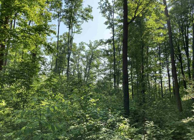 Property at N/A N M-33, Rose City, MI 48654