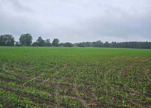 Property at Parcel C Newark Rd, Attica Township, MI 48412