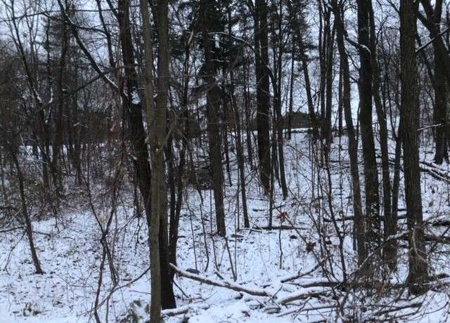Property at 4510 Filbert Dr, Brighton, MI 48116