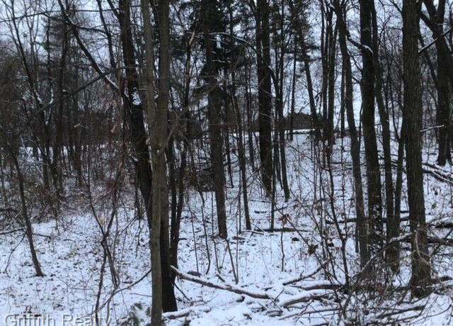 Property at 4510 Filbert Dr, Genoa Township, MI 48116