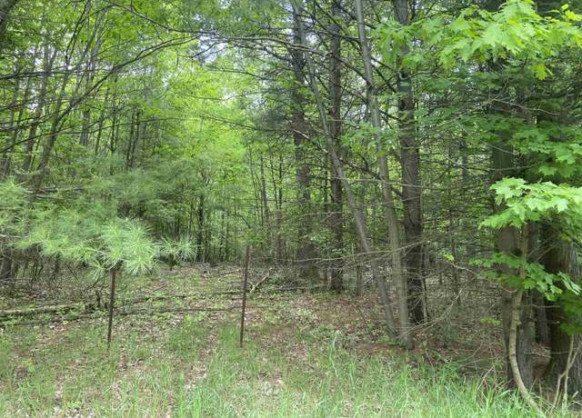 Property at S Poor Farm Rd, Harrisville, MI 48740