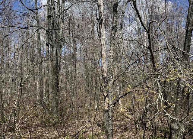 Property at 00 Wood Road, NE, Kalkaska, MI 49646