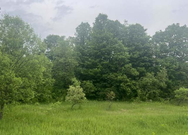 Property at 00 Wood Road, NE, Kalkaska, MI 49646