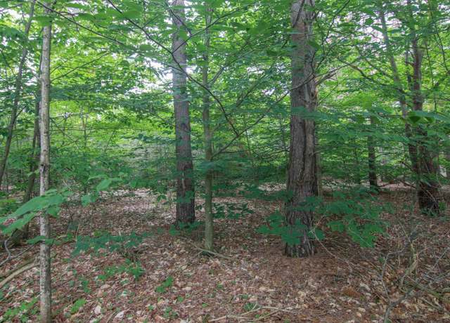 Property at 000 Winding Crk, Bear Lake, MI 49614