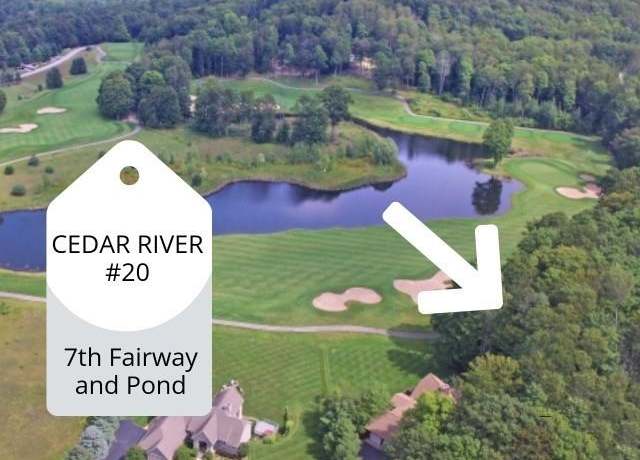 Property at 20 N Troon, Bellaire, MI 49615
