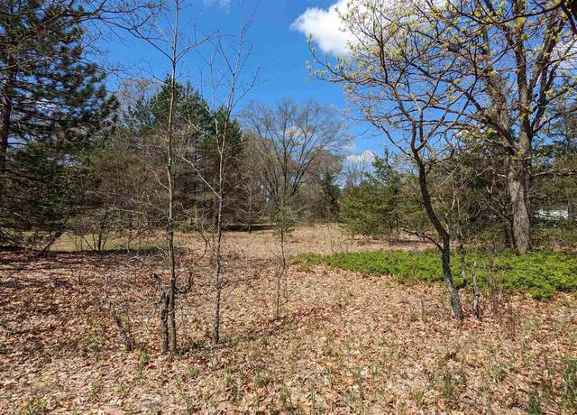 Property at Lot 19 Wingert St, Brethren, MI 49645