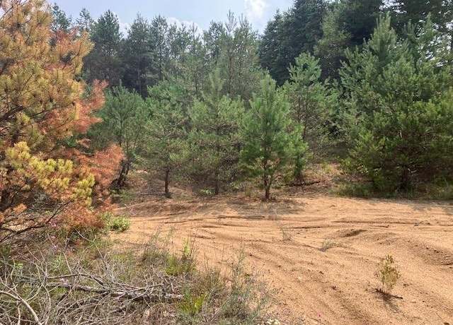 Property at Parcel F-2 N 2 1/2 Rd, Buckley, MI 49620