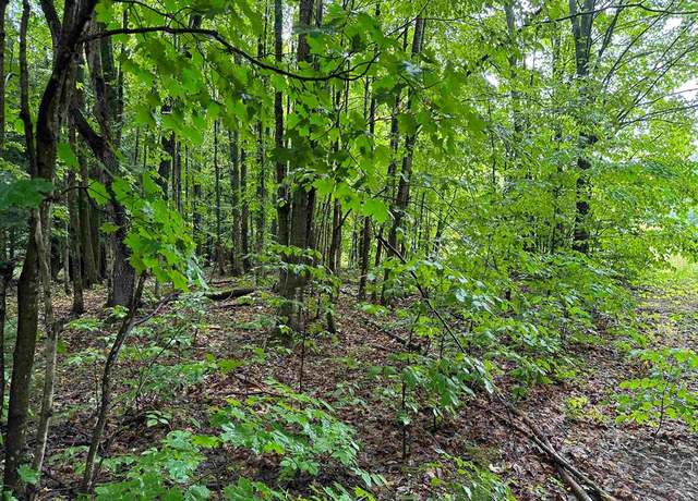 Property at 6125/6151 Cunningham Rd, Mancelona, MI 49659