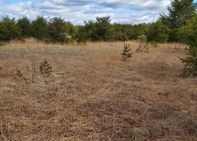Property at 2282 E 56th St, Chase, MI 49623