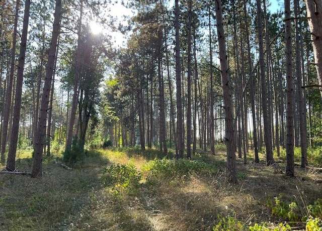 Property at 0 Samels Rd, Williamsburg, MI 49690