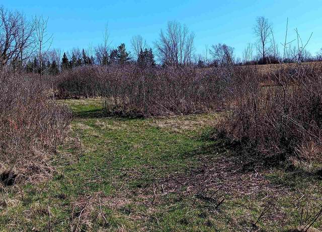 Property at 003 VL N East County Line Rd, Coleman, MI 48618