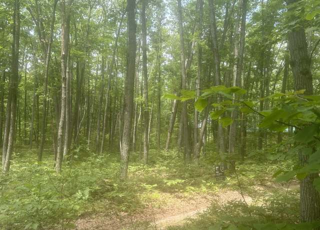 Property at 0 Garfield Blvd, Roscommon, MI 48653