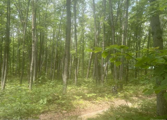 Property at 0 Garfield Blvd, Roscommon, MI 48653