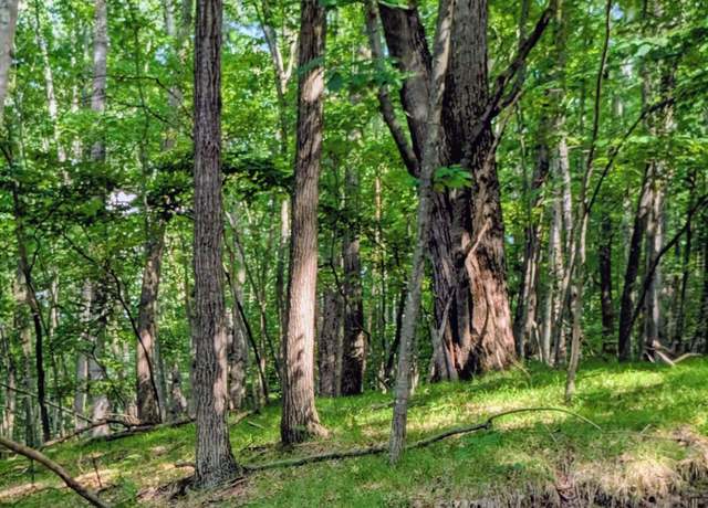 Property at 11717 Broken Arrow, Canadian Lakes, MI 49346