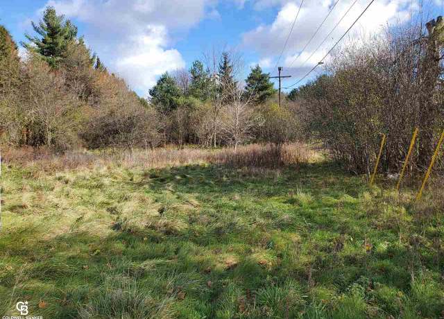 Property at Clarence Vl, Yale, MI 48097