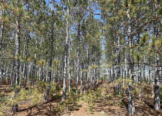 Property at lot 4 Meadow Ln, Thompsonville, MI 49683