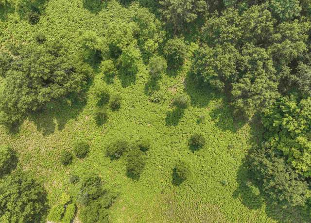Property at Hemlock Rd, Lincoln Township, MI 48632