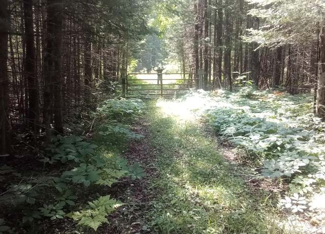 Property at 0 US 2 Rd, Newton Township, MI 49838
