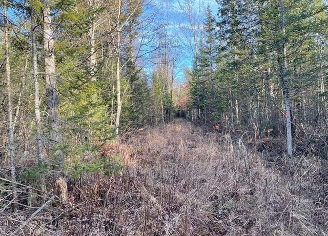 Property at 5 Acres N Everett Rd, Gerrish Township, MI 48653