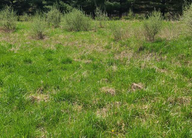 Property at 000 Pheasant Run, Howell, MI 48843