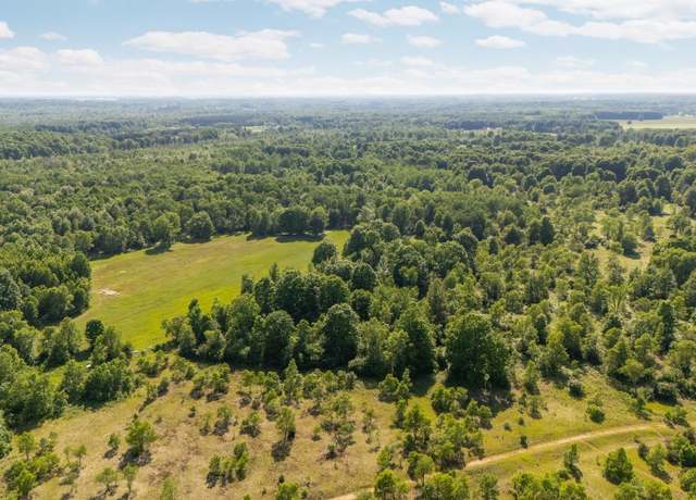 Property at Parcels B & C Sands Rd, Mayfield Township, MI 49649