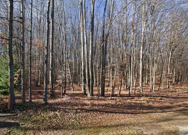 Property at LOT 1152 Michaywe, Gaylord, MI 49735