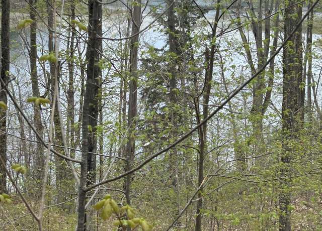Property at V/L Hardwood Dr, Alba, MI 49611