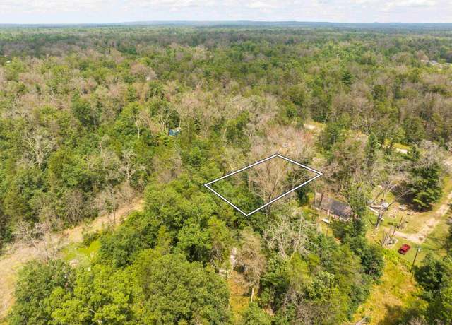 Property at 100 W St. Louis, Idlewild, MI 49642