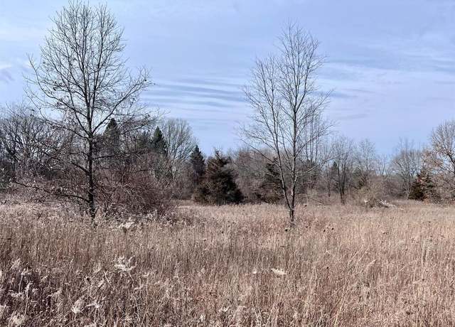 Property at Parcel 1 Coon Lake Rd, Genoa Township, MI 48843
