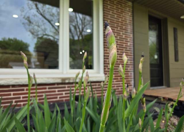 Property at 4144 S 12th St, Kalamazoo, MI 49009, 5 beds, 3.5 baths