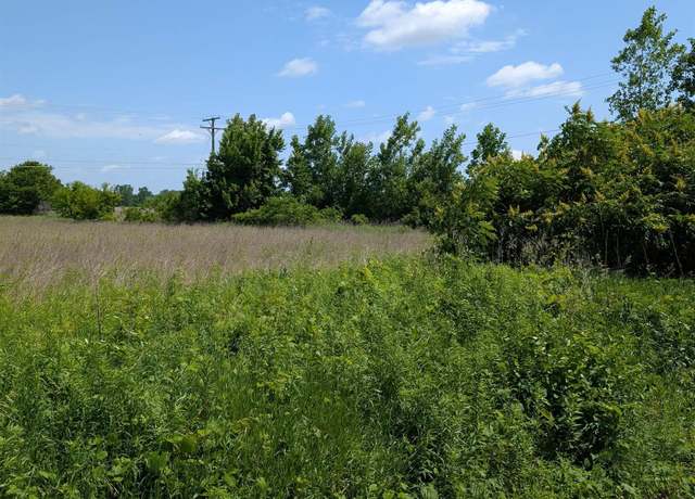 Property at 0 Dryden Rd, Almont, MI 48003