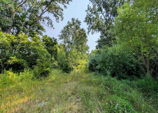 Property at Luce Rd, Mt Morris Township, MI 48433