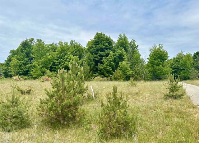 Property at 19 High Meadow Trl, Frankfort, MI 49635