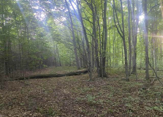 Property at 0 Wheeler Oaks Dr, Williamsburg, MI 49690