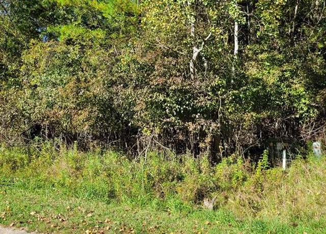 Property at TBD LOT 58 W Berkshire Dr, Gladwin, MI 48624