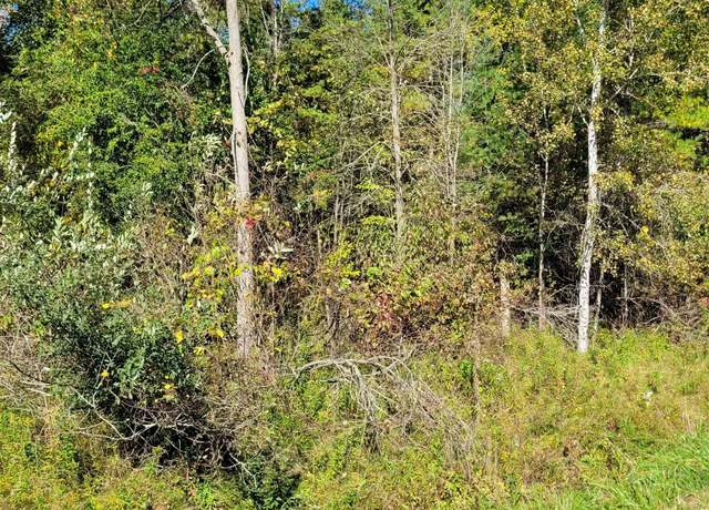 Property at TBD LOT 59 W Berkshire Dr, Gladwin, MI 48624