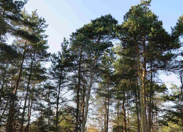 Property at 10.5 Spruce Hollow Trce, Fife Lake, MI 49633