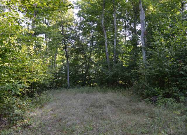 Property at W Leonard Rd, Mancelona, MI 49659