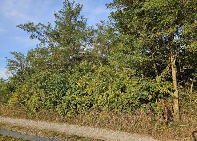 Property at 9990 E Channel Dr, Hudson, MI 49247
