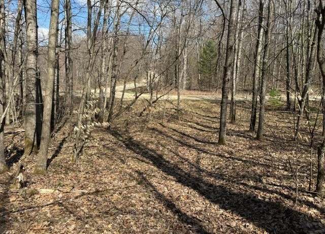 Property at Ticino Dr, Reed City, MI 49677