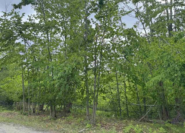 Property at 7241 Snow Goose Cir, Gaylord, MI 49735