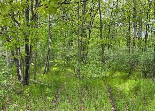 Property at 1004 Duquesa Dr, Weidman, MI 48893
