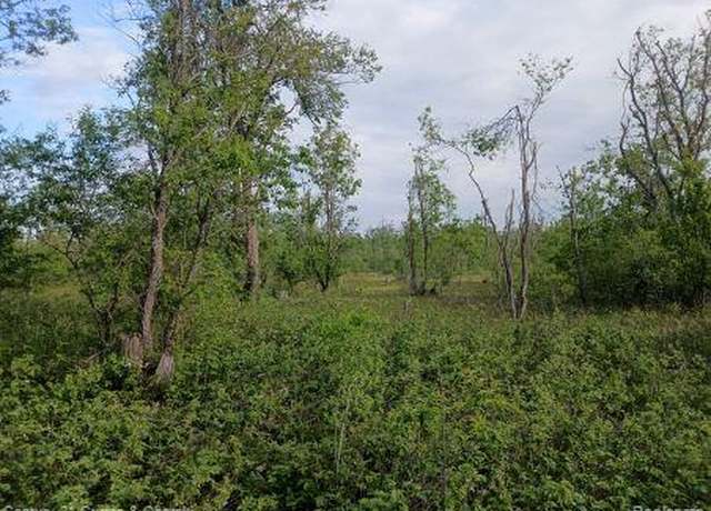 Property at 0000 Finnegan Rd,, Chester, MI 49751
