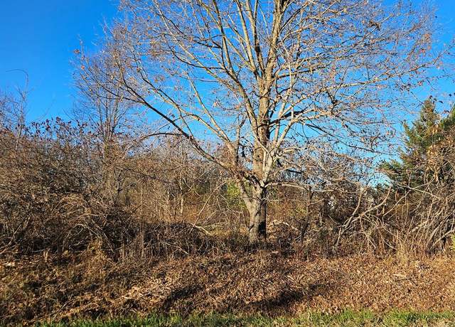 Property at 00 Hough, Almont Township, MI 48003