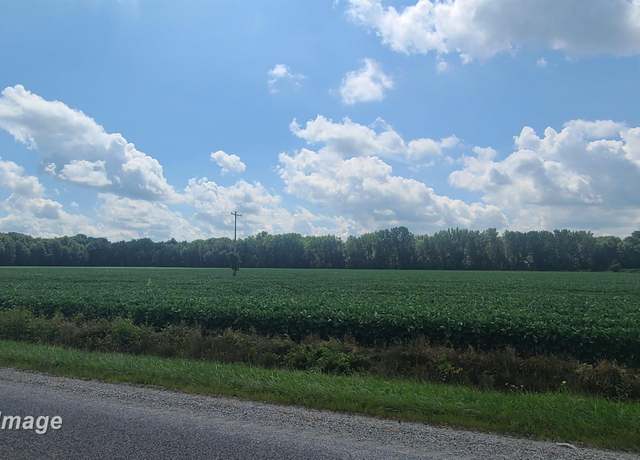 Property at VL W Birch Run Rd, Burt, MI 48614