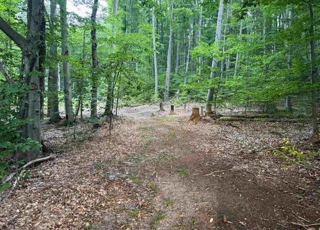 Property at 0000 S Bridle Trl, Empire, MI 49630