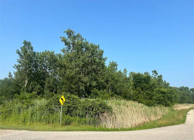 Property at 000 Farwell St, Macomb, MI 48047