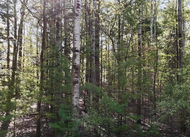 Property at 4616 Audubon Dr, Traverse City, MI 49686